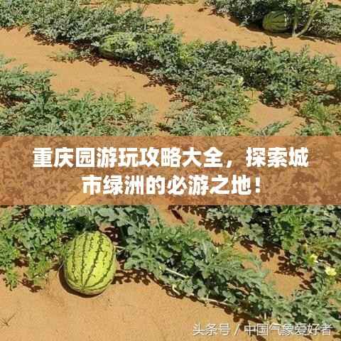 重庆园游玩攻略大全,探索城市绿洲的必游之地!