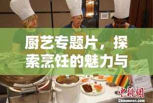 厨艺专题片,探索烹饪的魅力与艺术