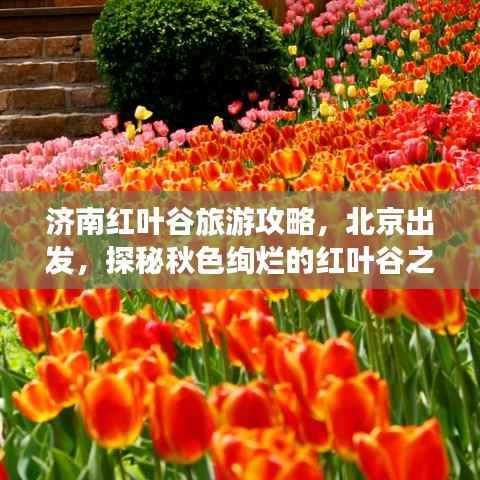 niaojingshucuan 第6页