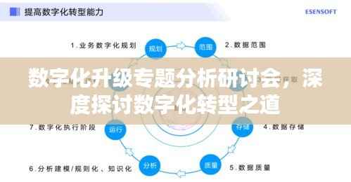 数字化升级专题分析研讨会,深度探讨数字化转型之道