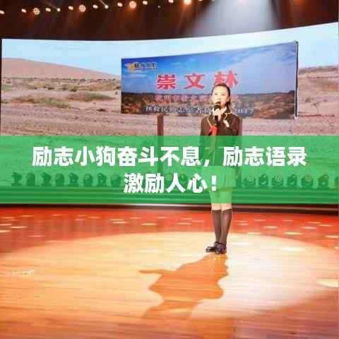 励志小狗奋斗不息,励志语录激励人心!