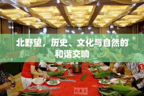 北野望,历史、文化与自然的和谐交响