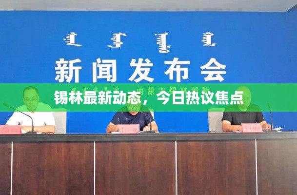 锡林最新动态,今日热议焦点