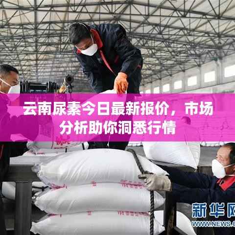 云南尿素今日最新报价,市场分析助你洞悉行情
