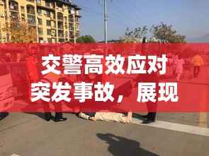 交警高效应对突发事故,展现卓越公共服务精神