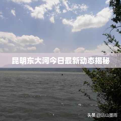 昆明东大河今日最新动态揭秘