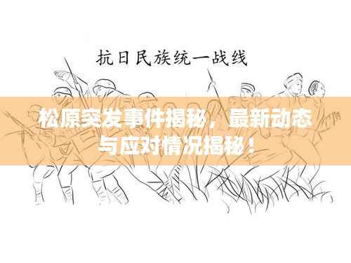 松原突发事件揭秘，最新动态与应对情况揭秘！