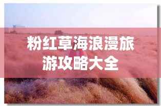 粉红草海浪漫旅游攻略大全