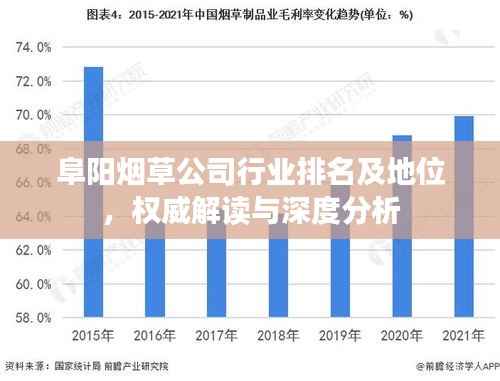 阜阳烟草公司行业排名及地位,权威解读与深度分析