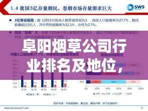 阜阳烟草公司行业排名及地位,权威解读与深度分析