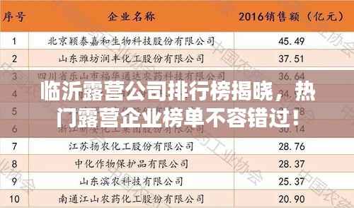 临沂露营公司排行榜揭晓,热门露营企业榜单不容错过!