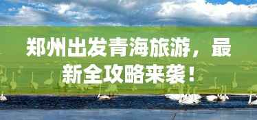 郑州出发青海旅游，最新全攻略来袭！