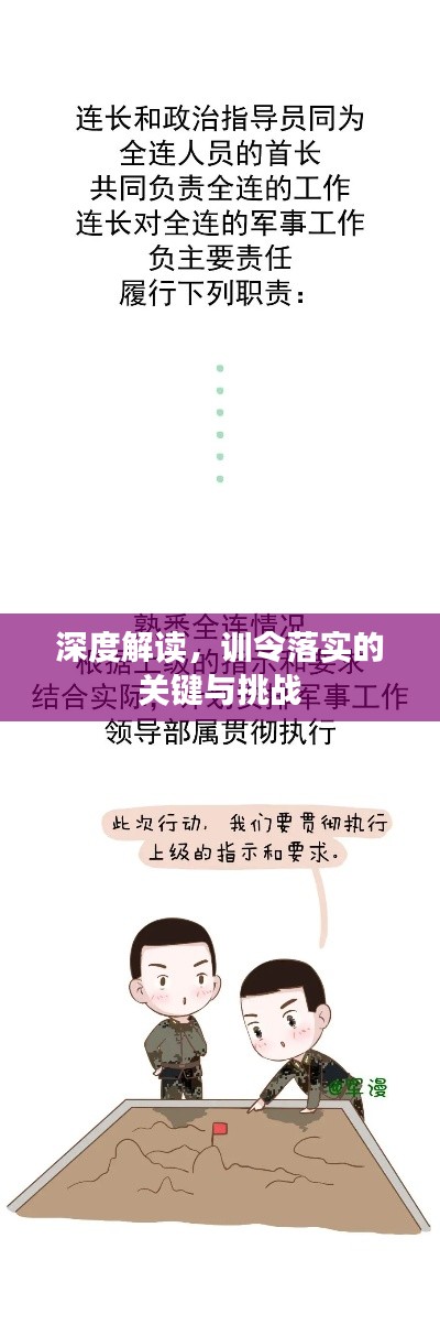 深度解读，训令落实的关键与挑战
