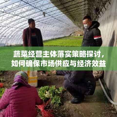 蔬菜经营主体落实策略探讨，如何确保市场供应与经济效益双赢？
