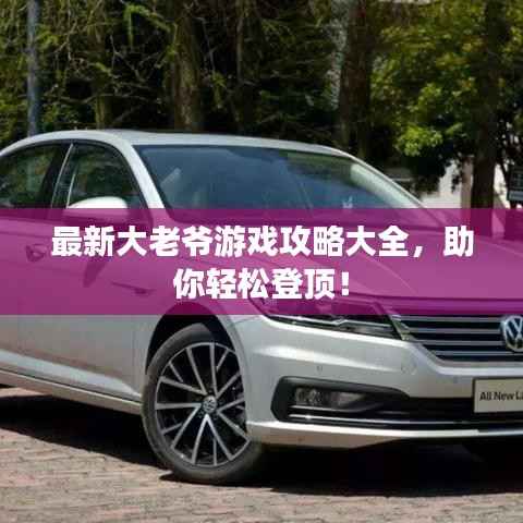 最新大老爷游戏攻略大全，助你轻松登顶！