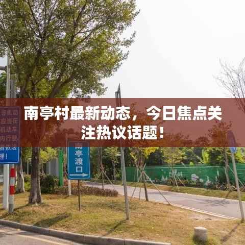 南亭村最新动态，今日焦点关注热议话题！