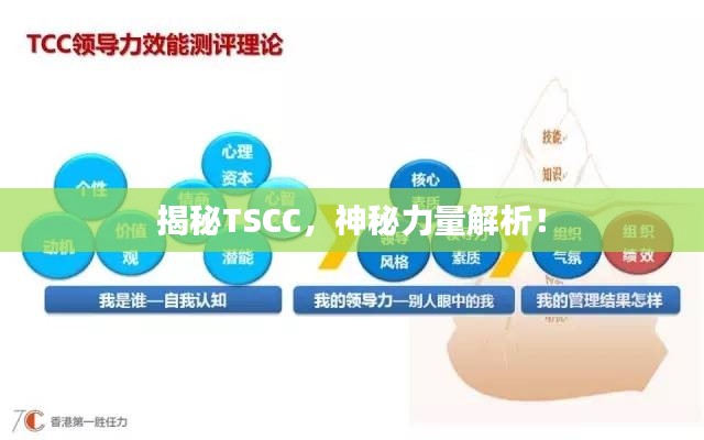 揭秘TSCC,神秘力量解析!