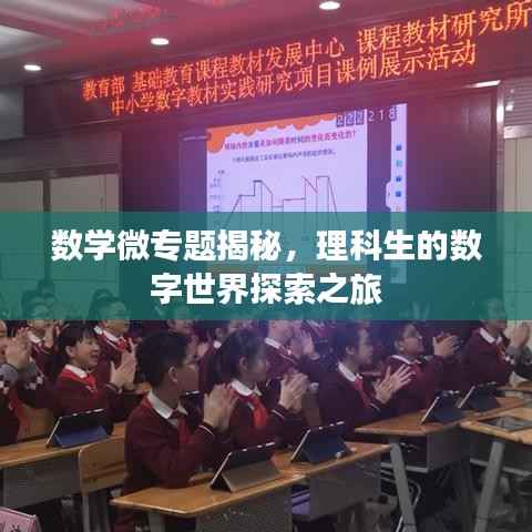 数学微专题揭秘，理科生的数字世界探索之旅