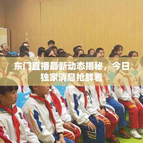 东门直播最新动态揭秘，今日独家消息抢鲜看