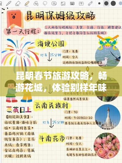 昆明春节旅游攻略,畅游花城,体验别样年味