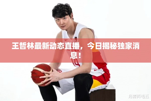 王哲林最新动态直播,今日揭秘独家消息!