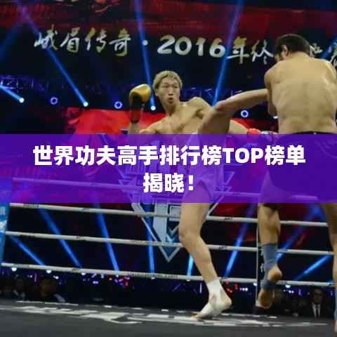 世界功夫高手排行榜TOP榜单揭晓!