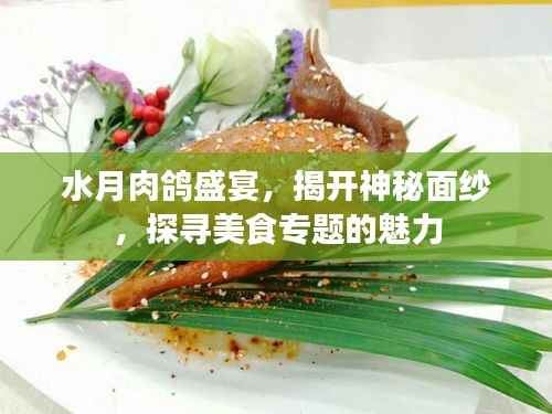 水月肉鸽盛宴,揭开神秘面纱,探寻美食专题的魅力