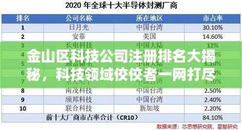金山区科技公司注册排名大揭秘，科技领域佼佼者一网打尽！