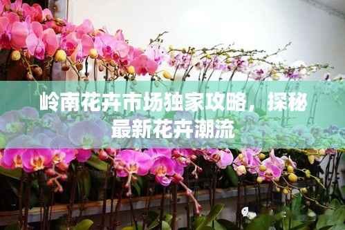 岭南花卉市场独家攻略,探秘最新花卉潮流