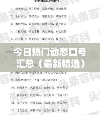 今日热门动态口号汇总（最新精选）