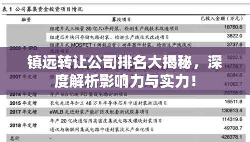 镇远转让公司排名大揭秘,深度解析影响力与实力!